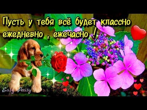 По жизни весело идёшь!