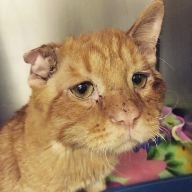 Совсем мозги мои тупые...