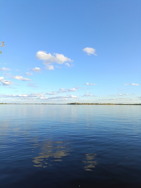 7 ноября. Где-то живет - знаю