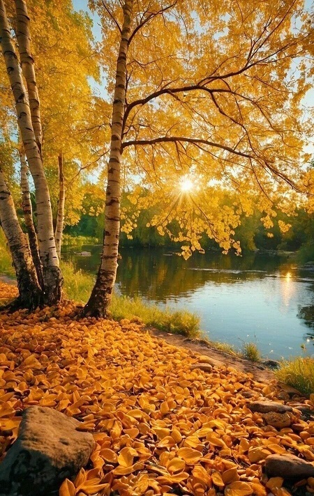 В осеннем бархате природы