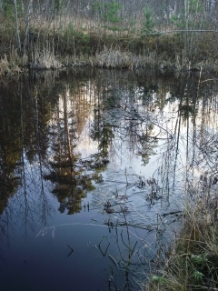 Приближение зимы