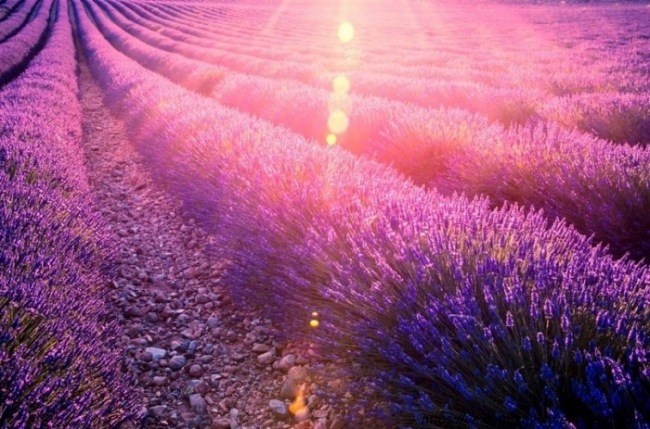 Безмятежность