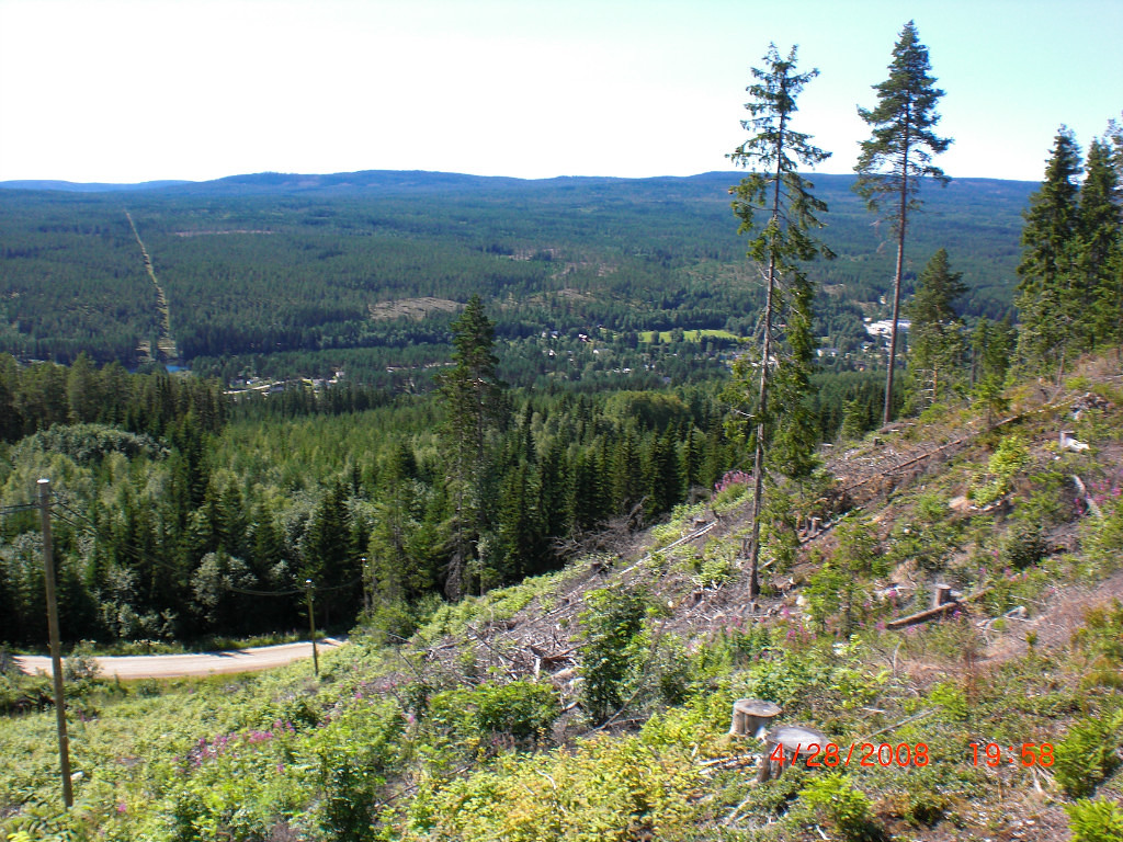 Совесть задумана нечистой