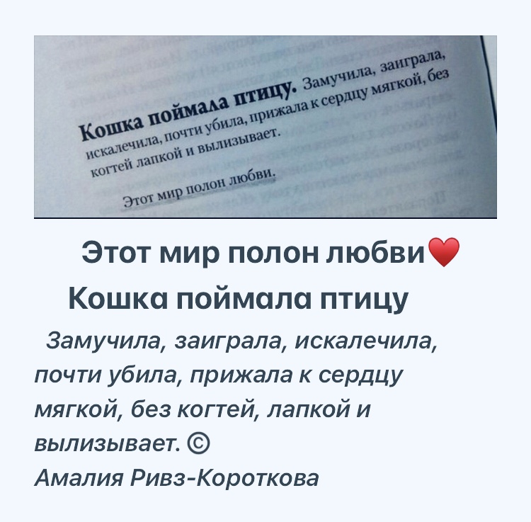 Мысли вслух