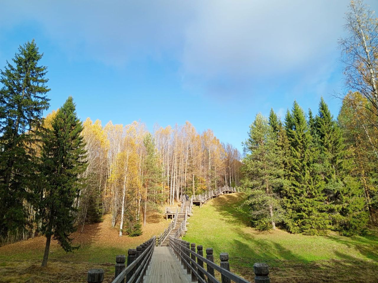 Почему у женщин культ мужского чувства юмора?