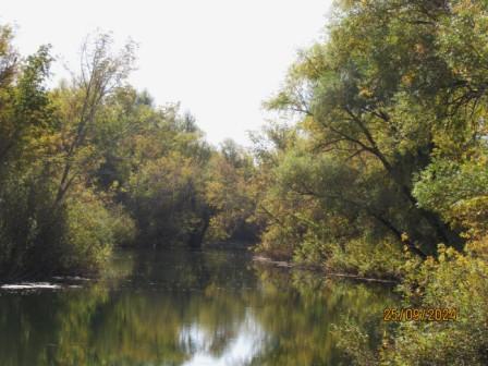 Песня казачки