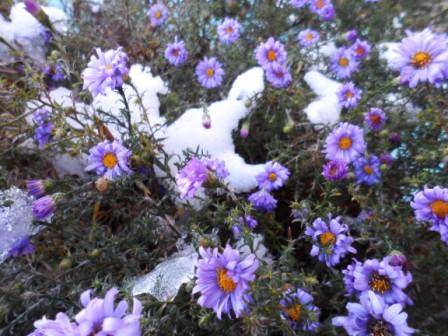 Зима близко