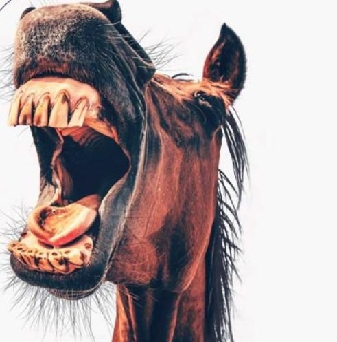 Байки про бомжей