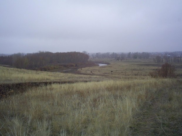 Стоит нынче поздняя осень