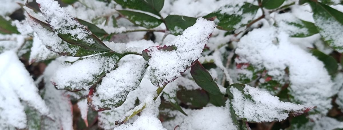 Как мы создаем миры, в которых хотим жить