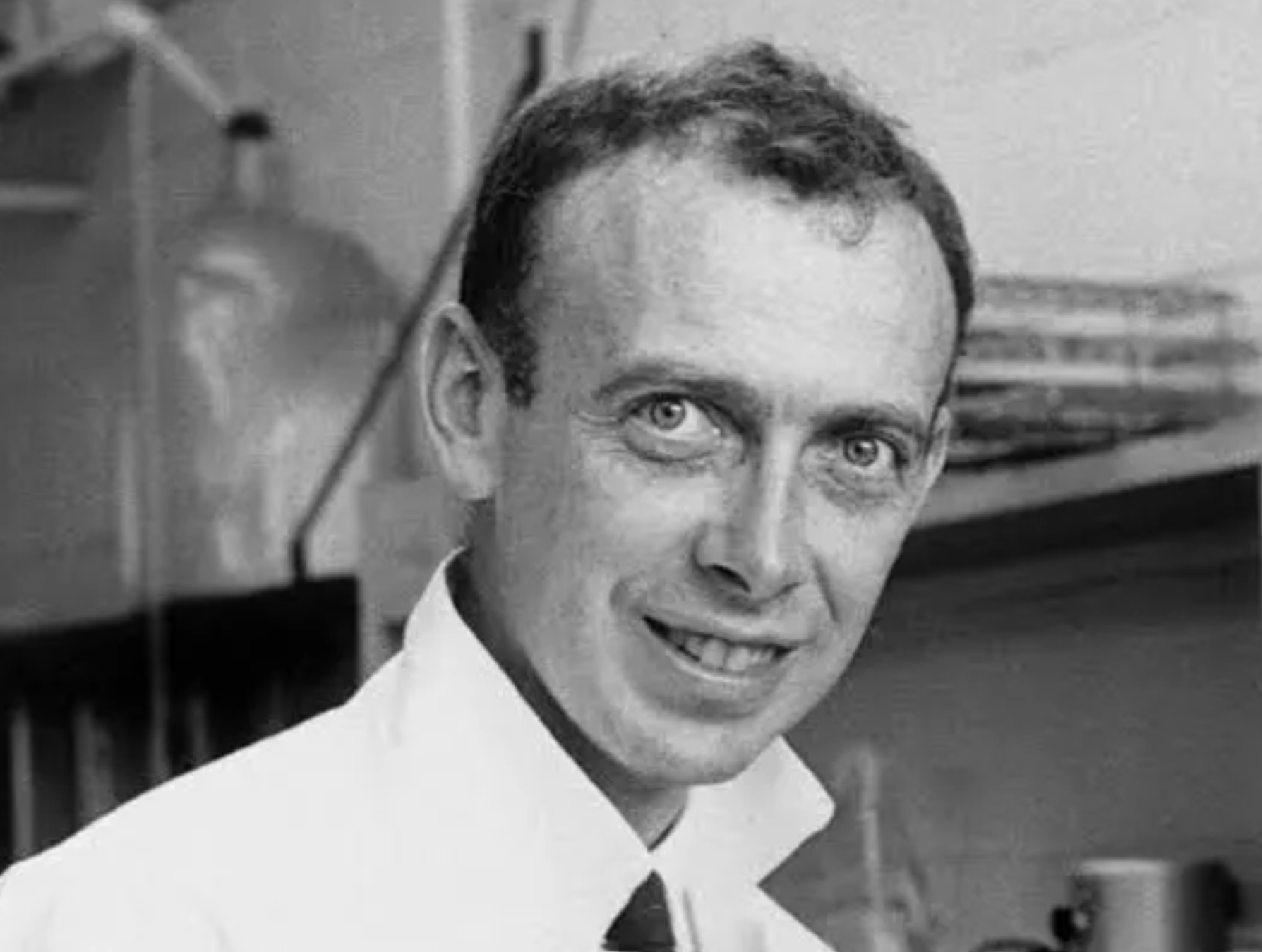 Последний виток спирали ДНК