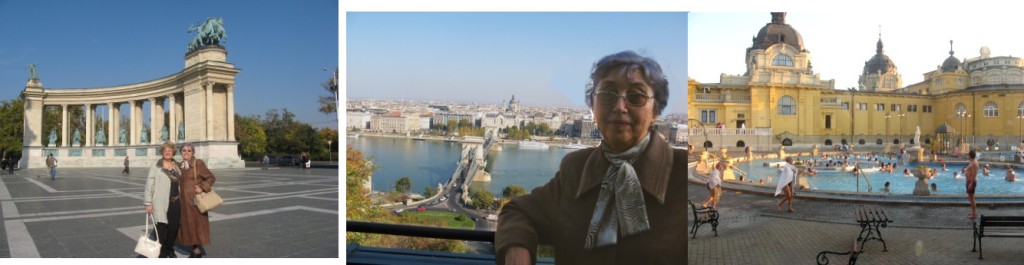 На прекрасном голубом дунае. Часть первая