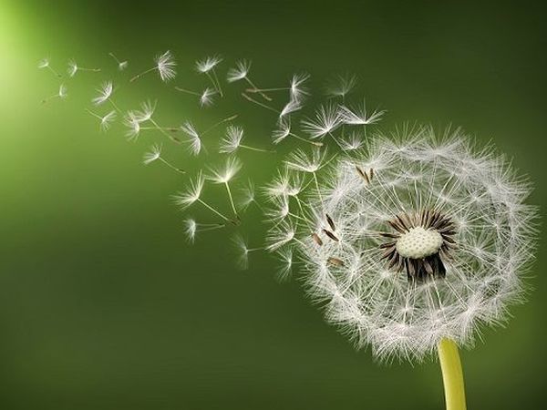 Драббл-25 Поверье