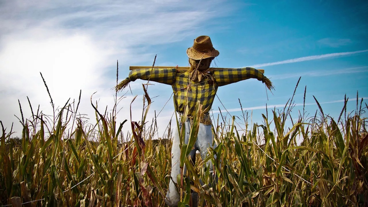 пинок Кио 84