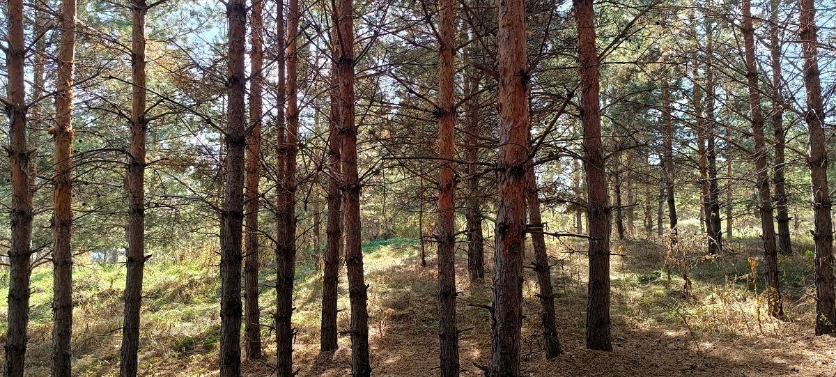 Жизнь прекрасна уже тем, что