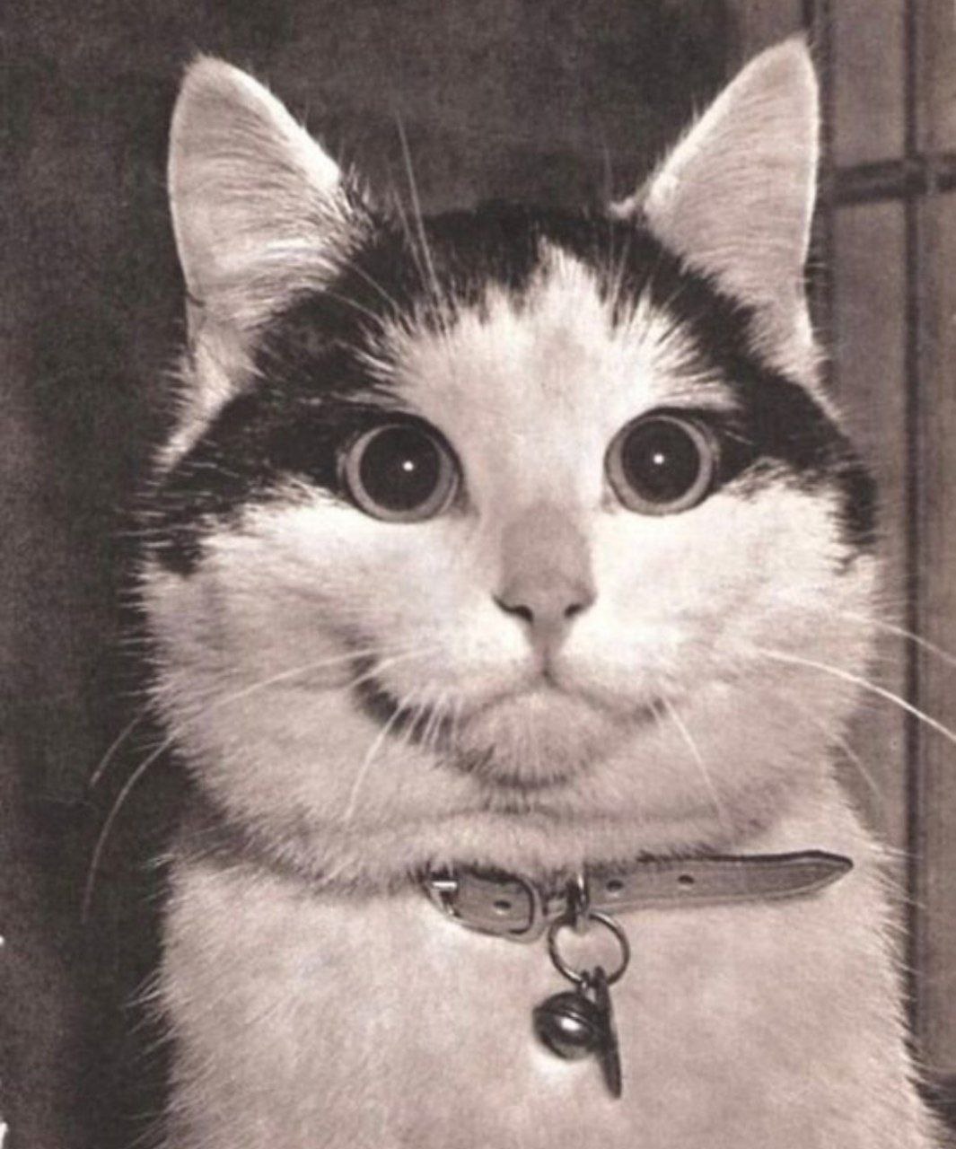 Всё переменчиво!..