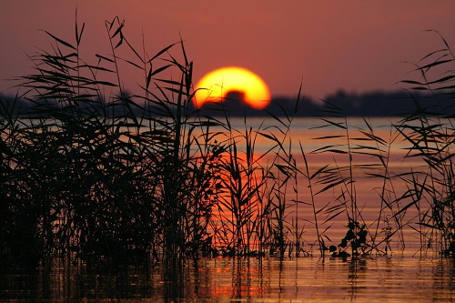 Век живи и век учись