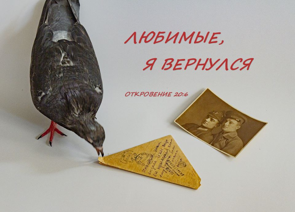 Позывной Кобзарь