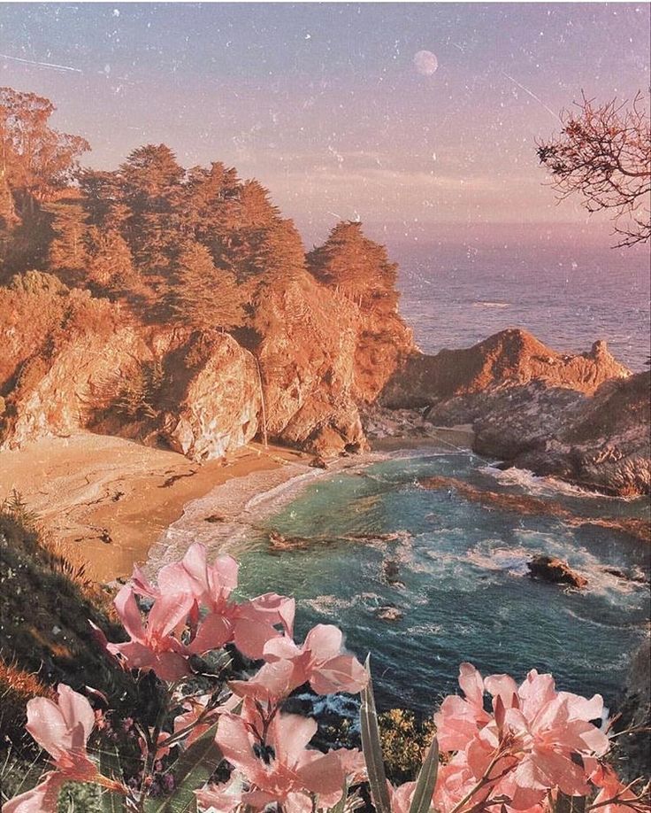 Цветущий мир. Песня костров