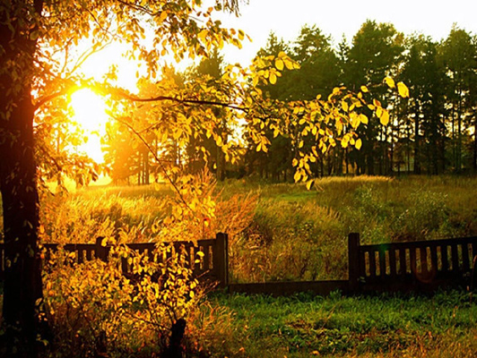 Чем темнее темнота...