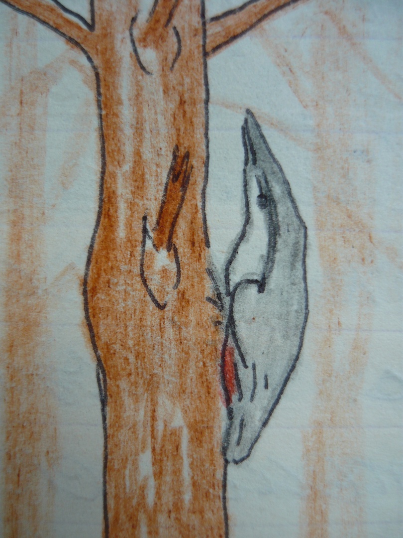 Из моих юношеских дневников! глава 27