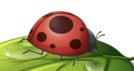 Божья коровка-детская песенка