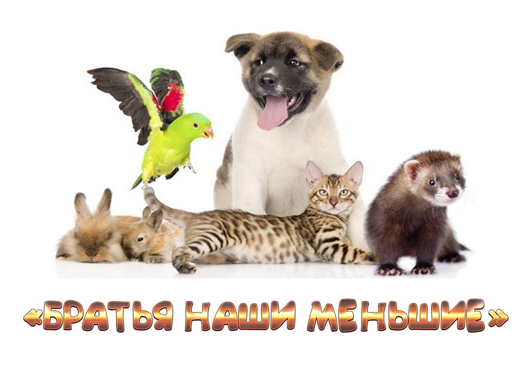 Уважаемым читателям