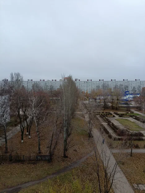 10 ноября. А сегодня свет-свет