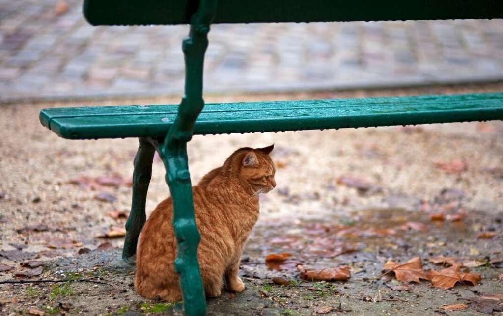 Какой-то день сегодня хмурый...