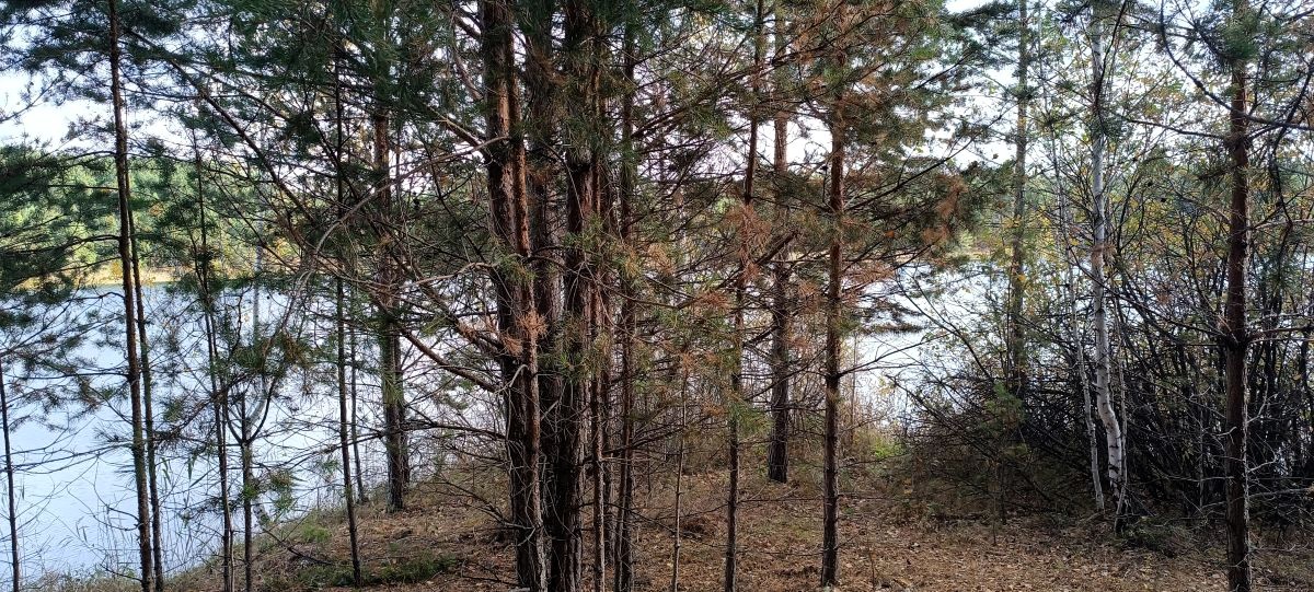 Технология, которая наши шаги монетизирует