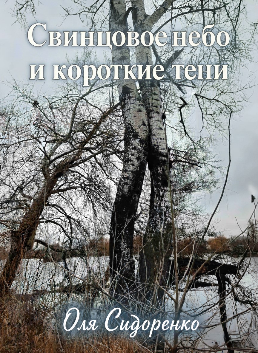 Свинцовое небо и короткие тени