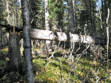 Бог молчит. Часть 5