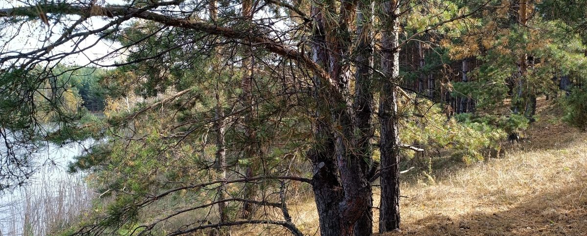 Калинов мост. Сказание