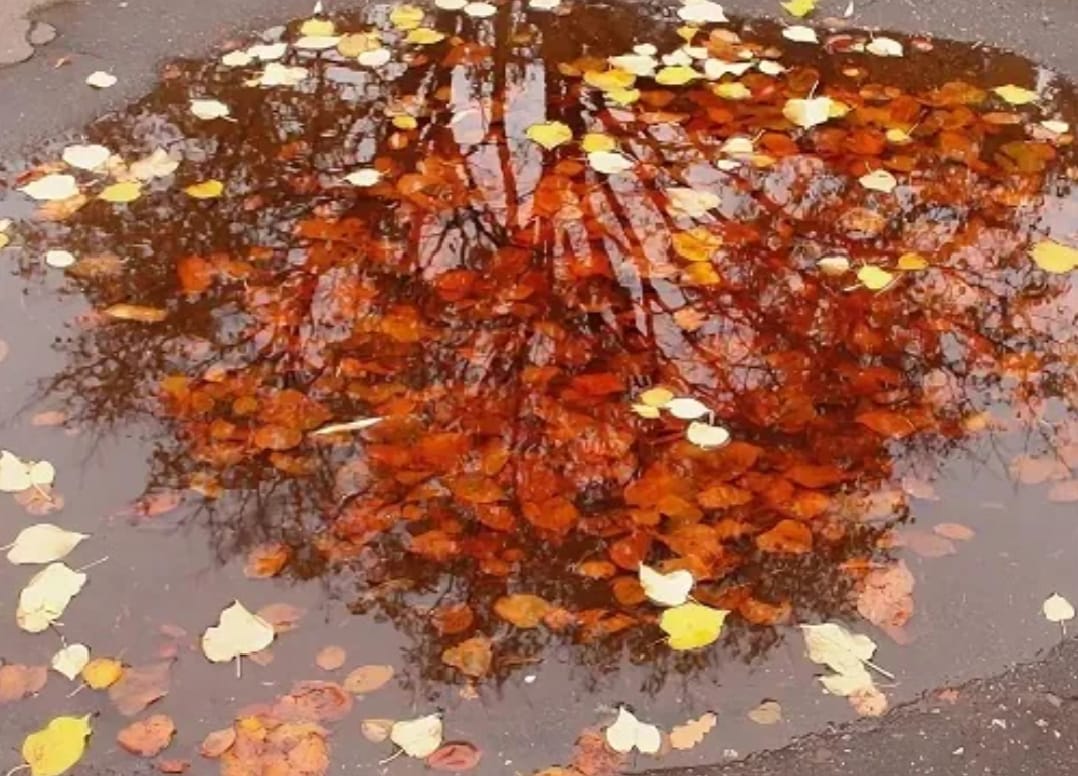 Цветные лужи разливаются...