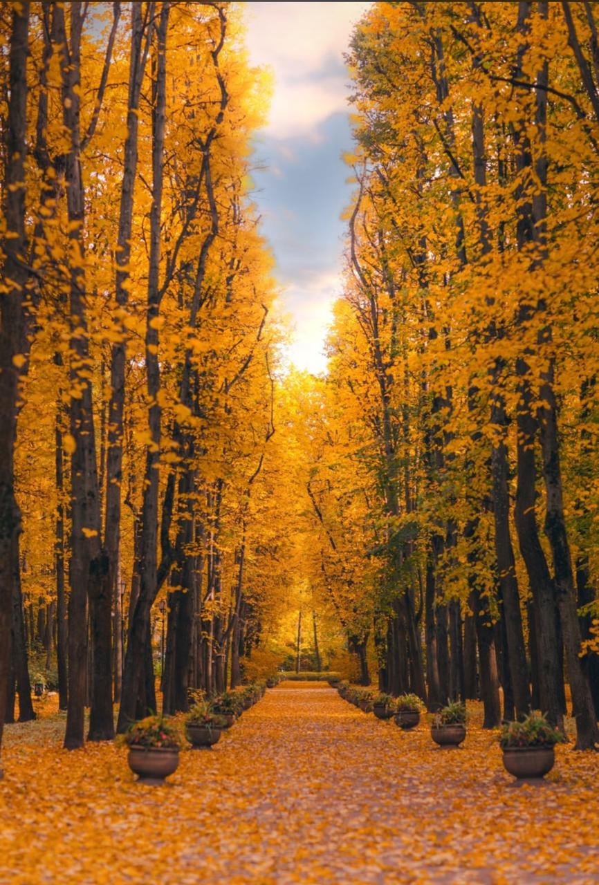 из прочитаного. Т9 из зала суда. юмор