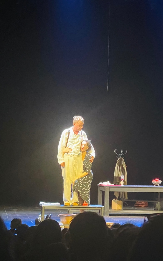 Воронеж во Владимирских летописях Алю Серебрякову