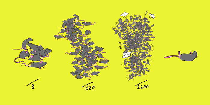 Вселенная 25- о рае земном и небесном