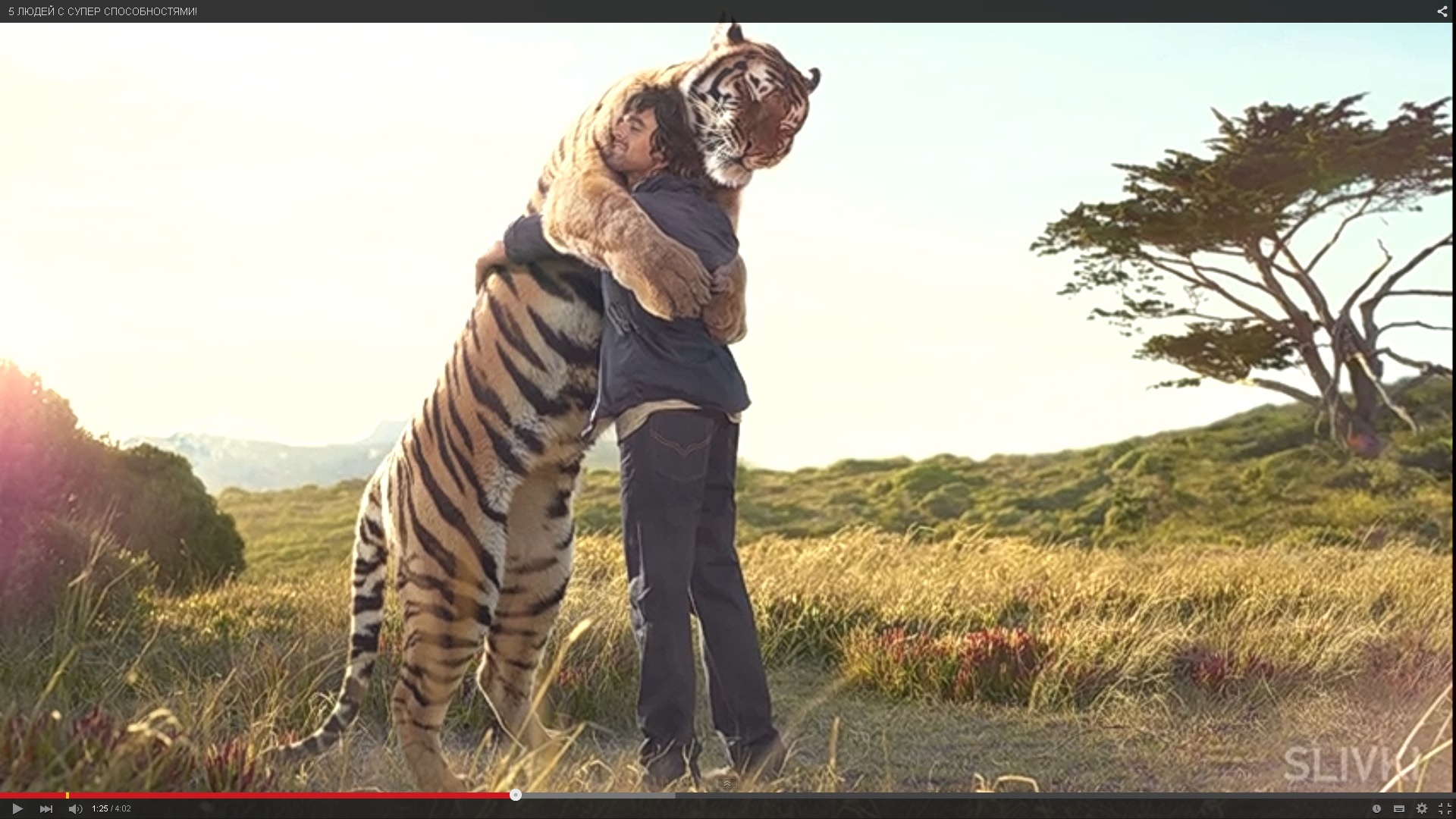 Привет! Брателло! -стихи