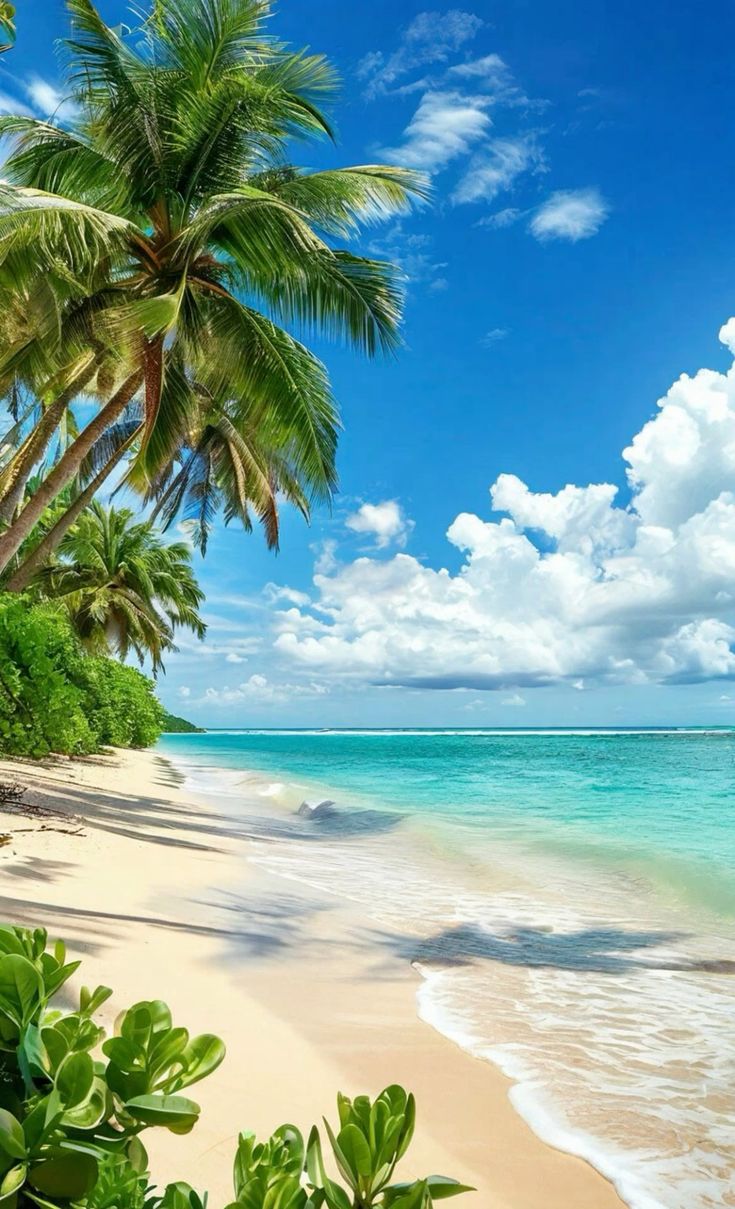 Чудеса случаются!..