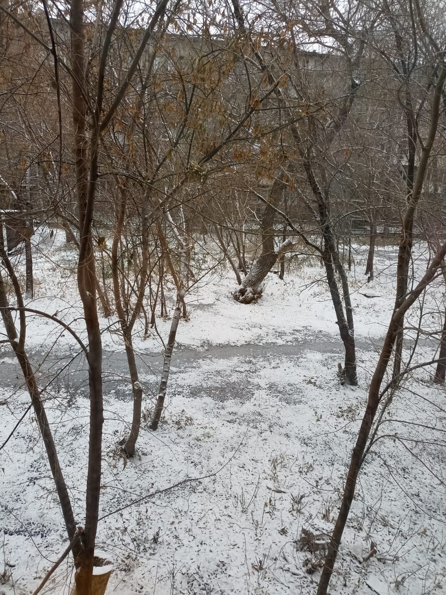 Сказка присказка