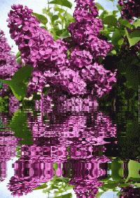 Назвали сына в честь героического прадеда