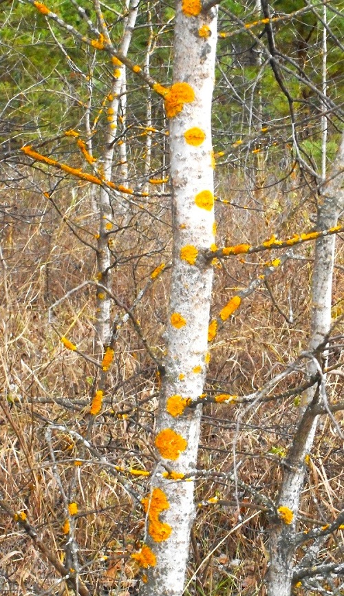 Тан... туристы грязи не боятся. 2022 год