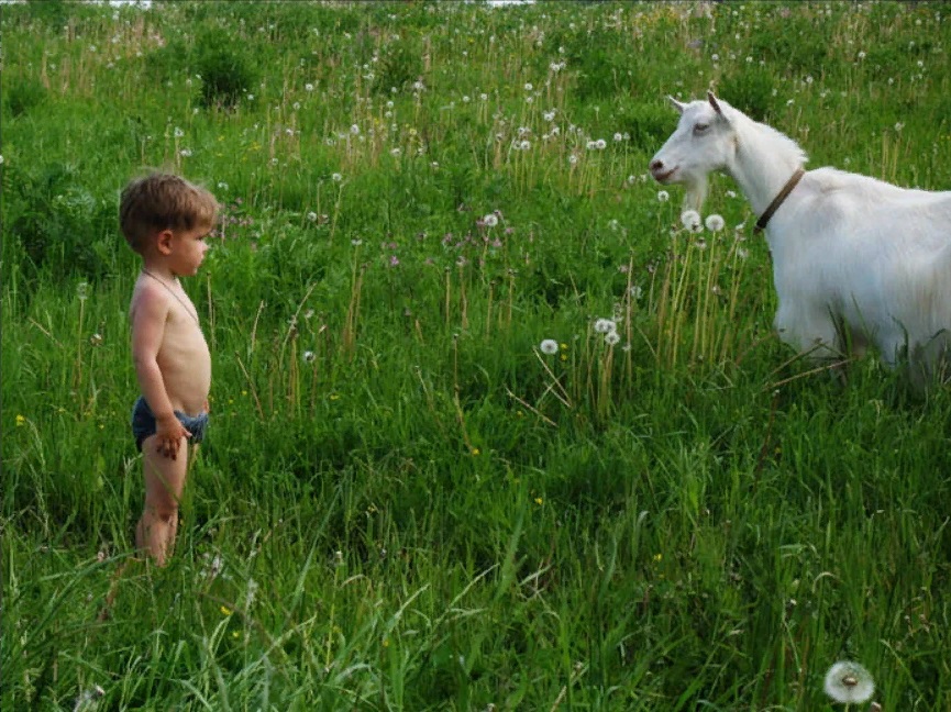 Бэ-э-э. Короче скинь трусы -стихи