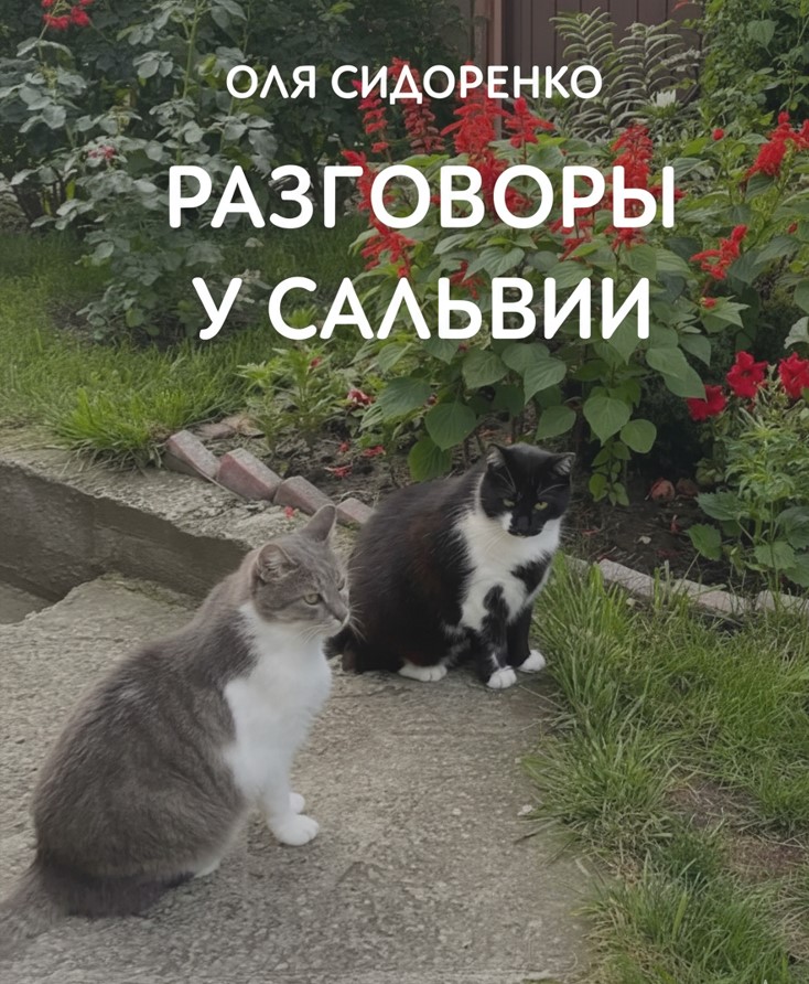 Разговоры у сальвии