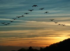 Осеннее наваждение