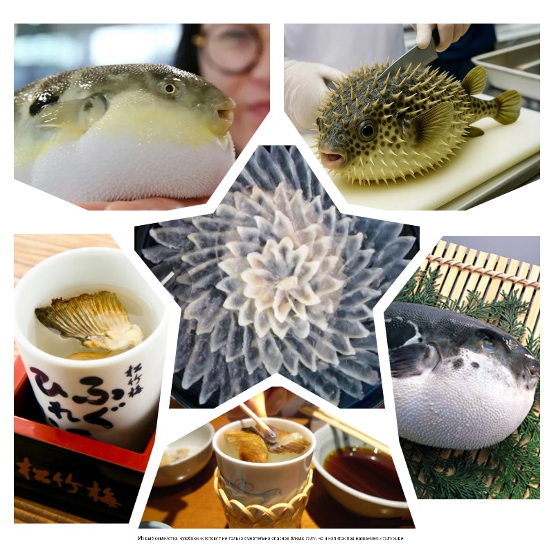 Напиток -стихи