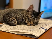 Всякая всячина