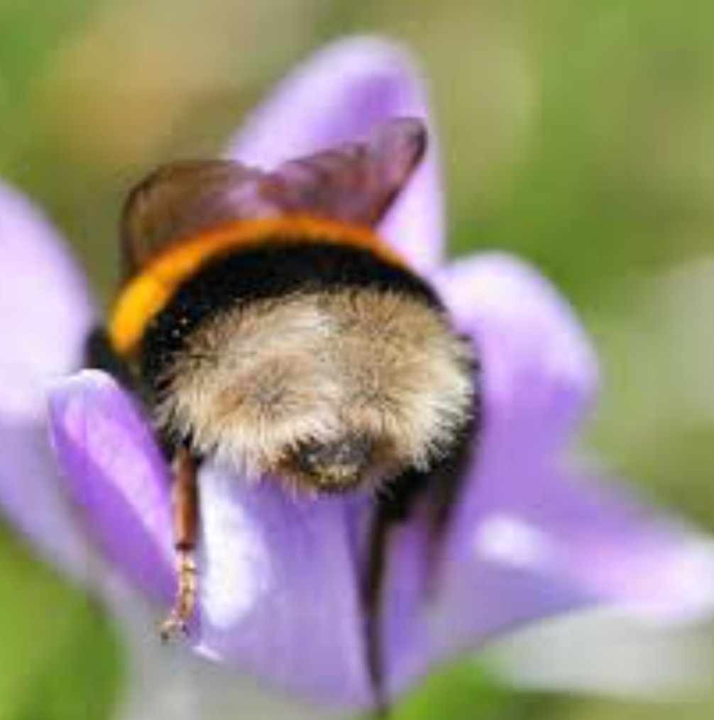 Жизнь таракана Яши в женской голове. 15