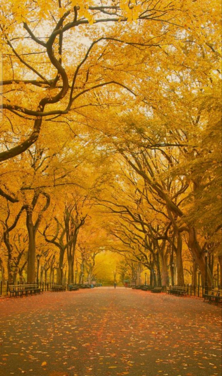 Ты кем захочешь стать, когда вырастешь?..