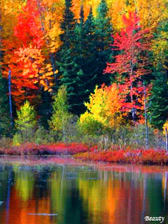 50 оттенков осени